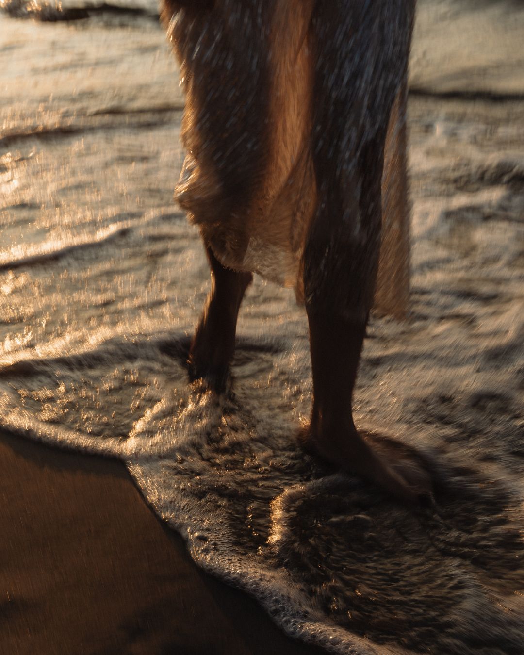 Marie ist am Strand, ihr Kleid fließt im Abendlicht